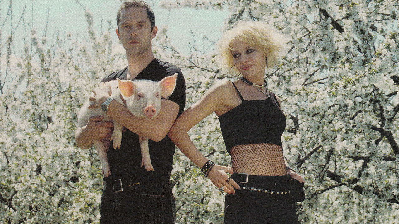 Honey and the Pig Background