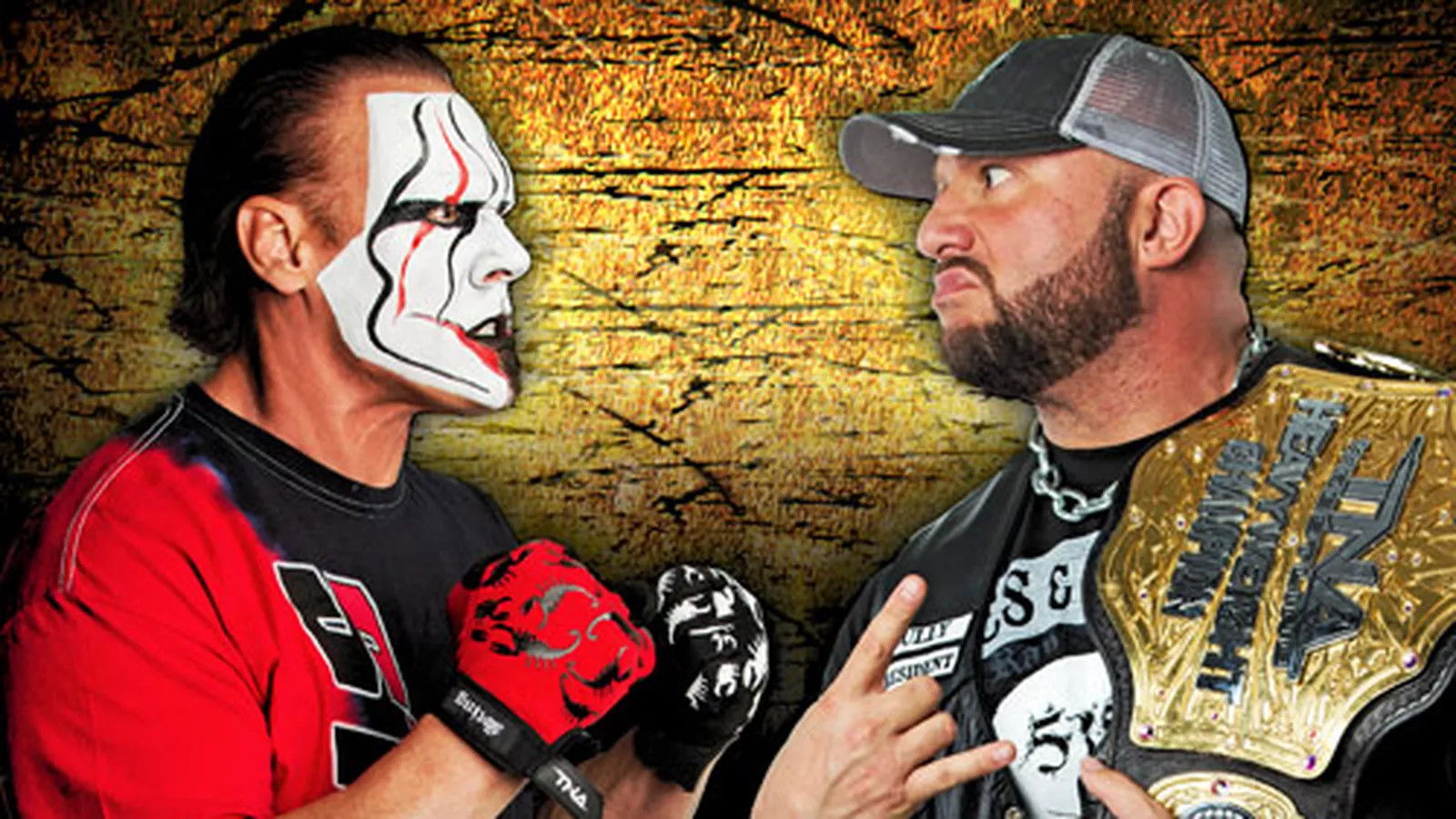 TNA Slammiversary XI Background