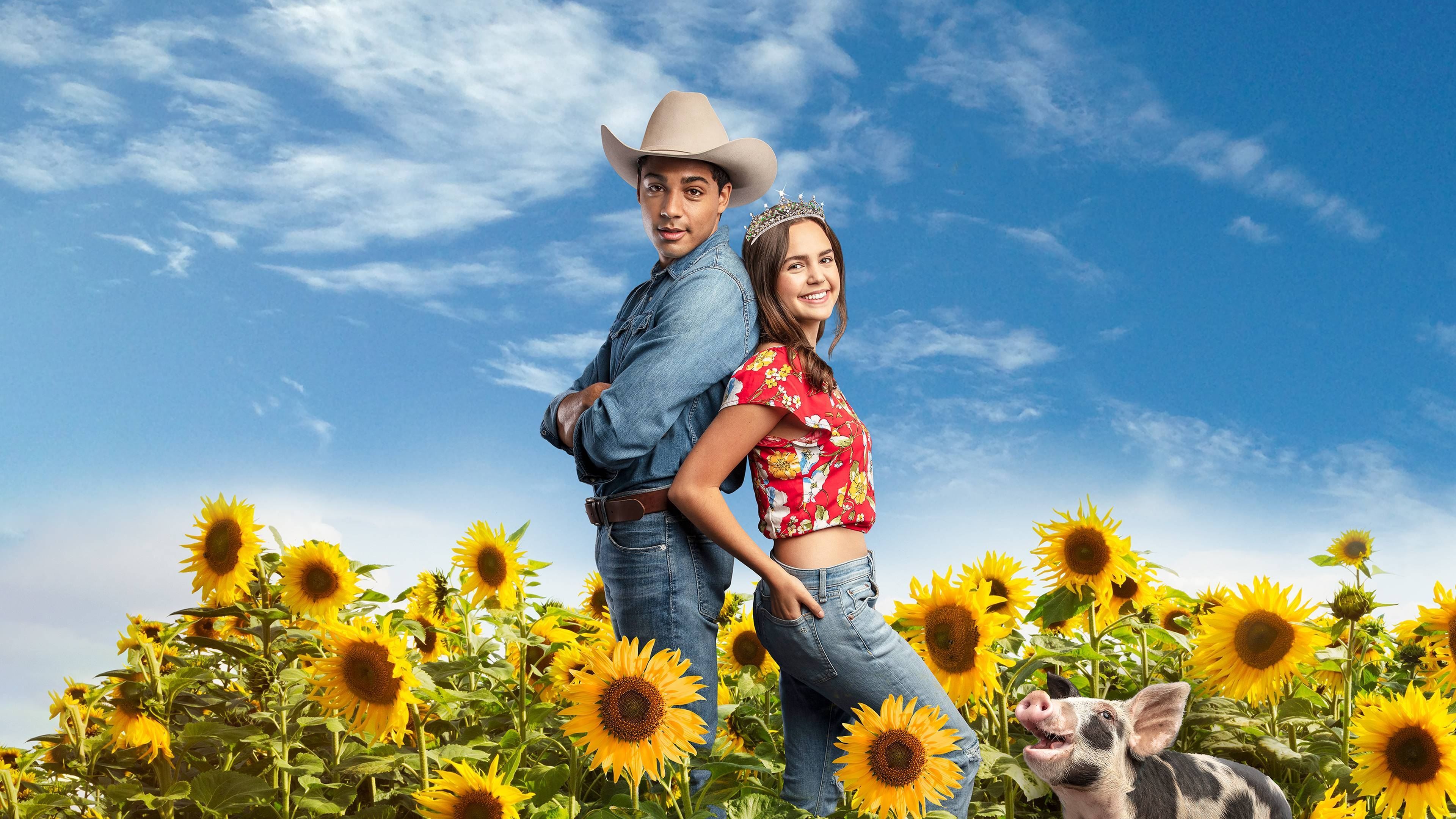 A Cinderella Story: Starstruck Background