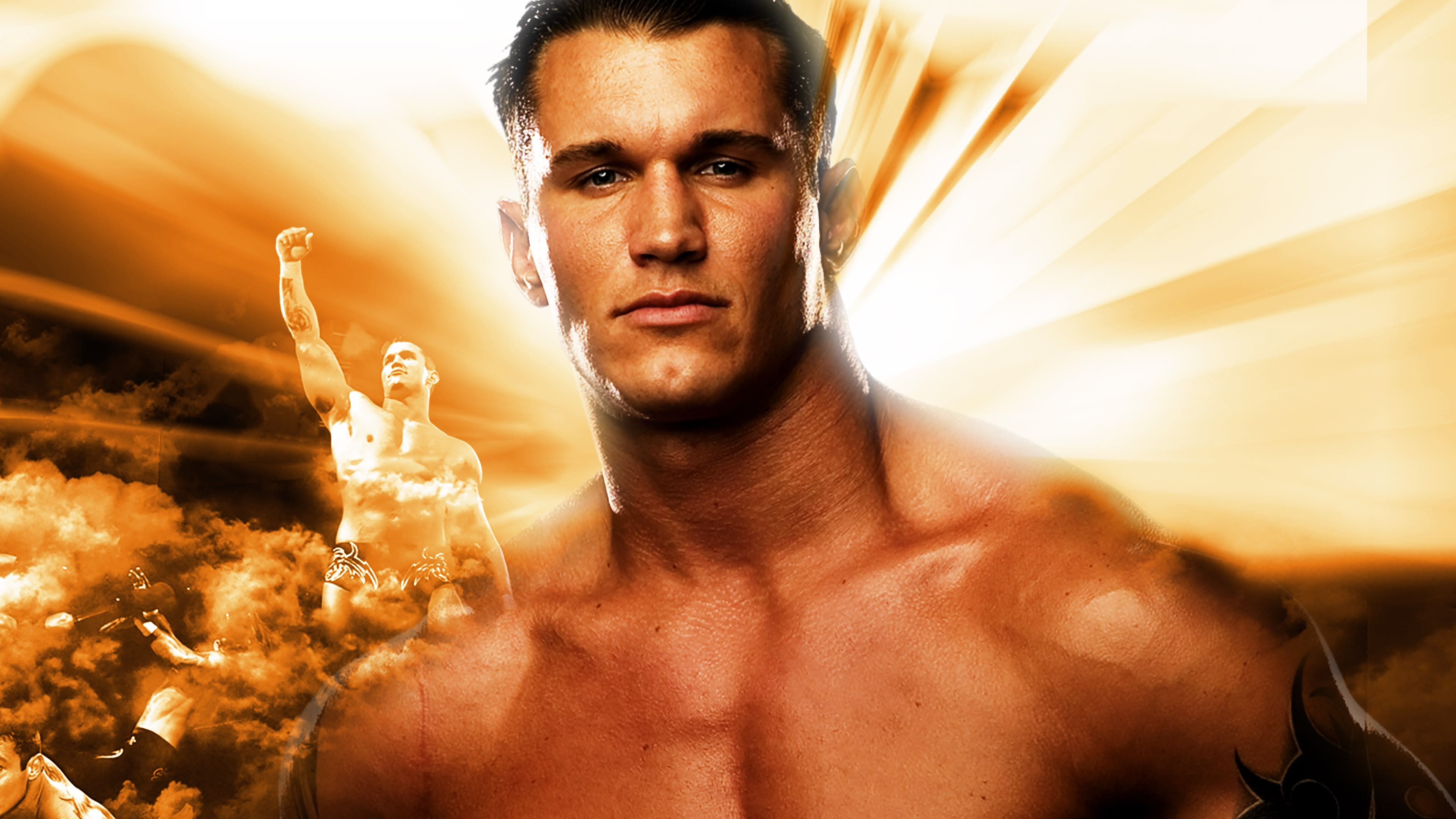 WWE Vengeance 2004 Background