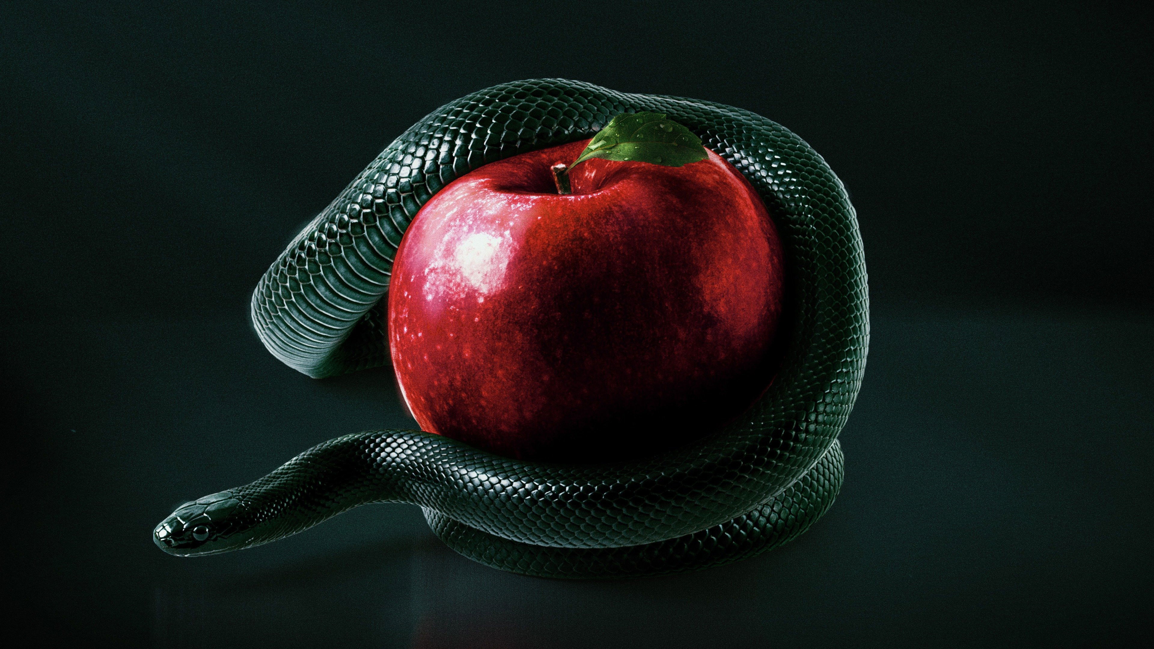 Bible Secrets Revealed Background