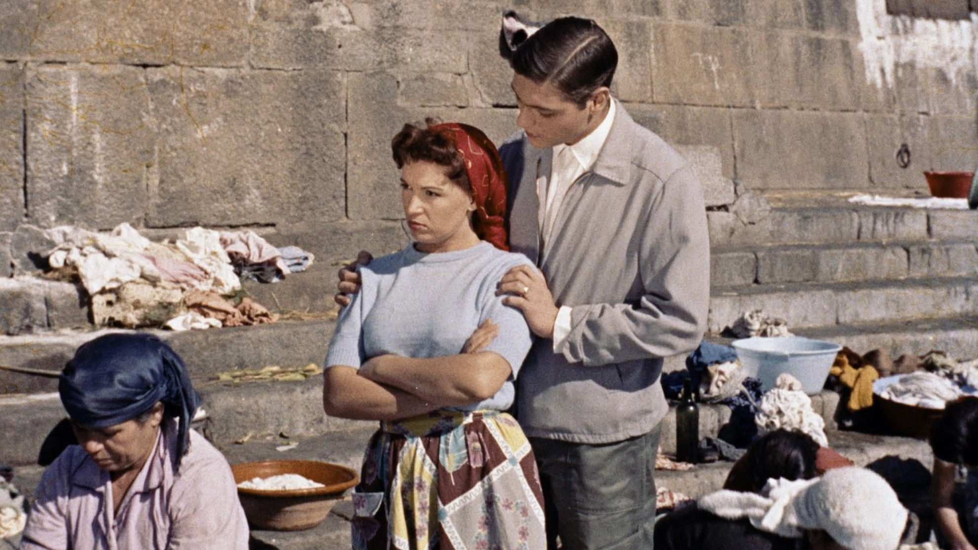 The Little Bird of Ribeira Background