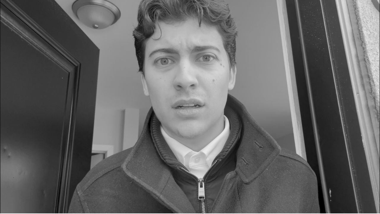 The Pigeon Background