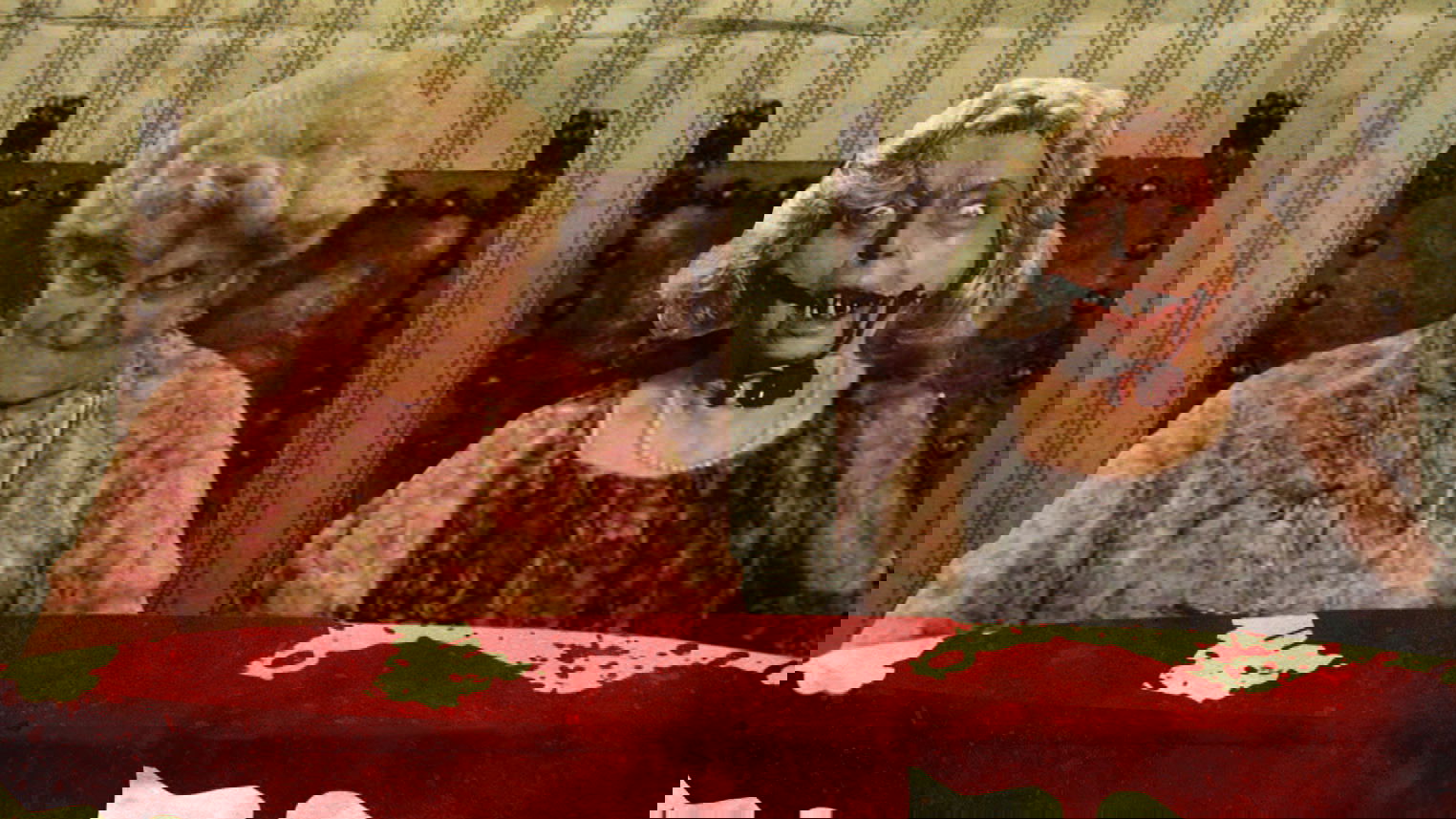 Rabid Grannies Background