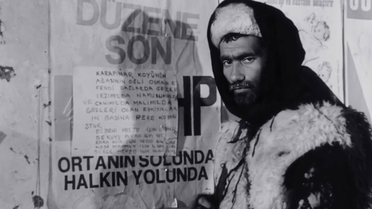 The Hungry Wolves Background