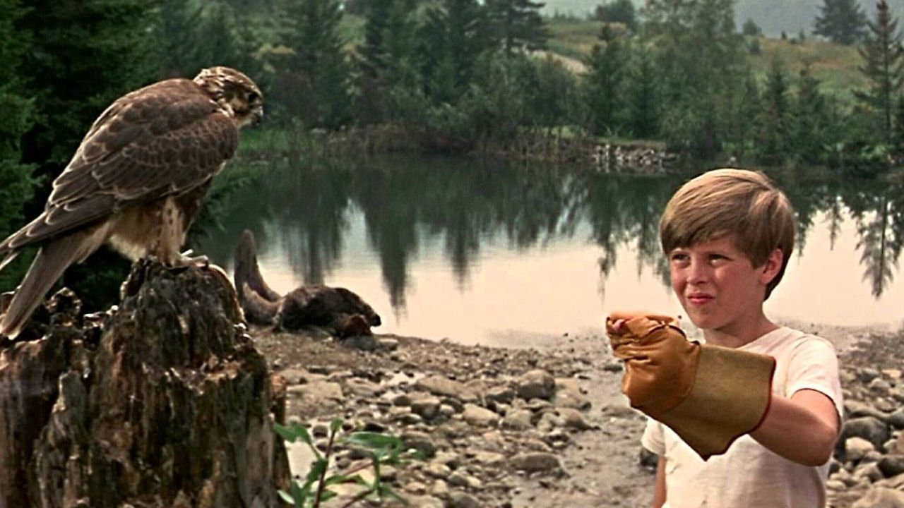 My Side of the Mountain Background