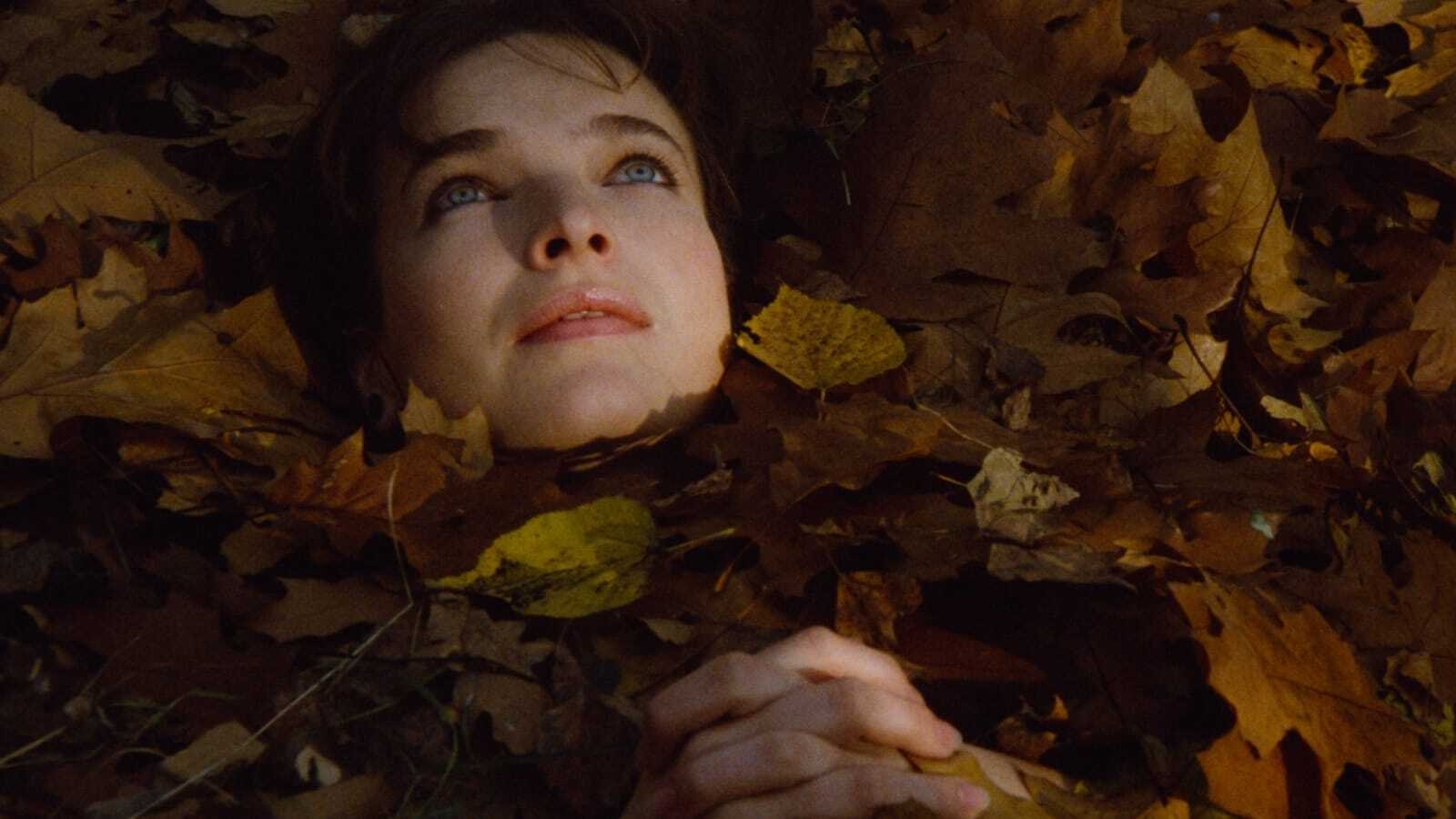 Diary for My Loves Background