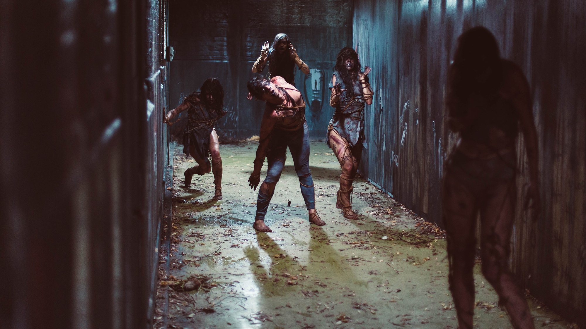 The School Background