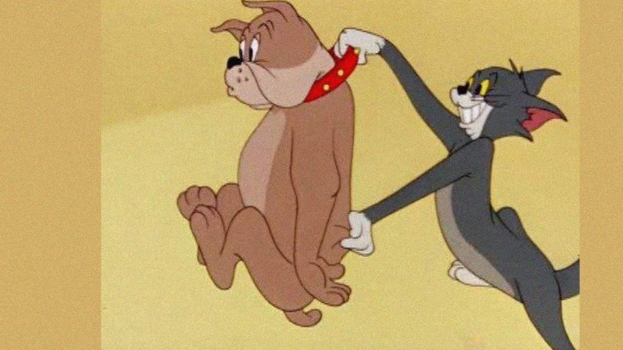 Pet Peeve Background