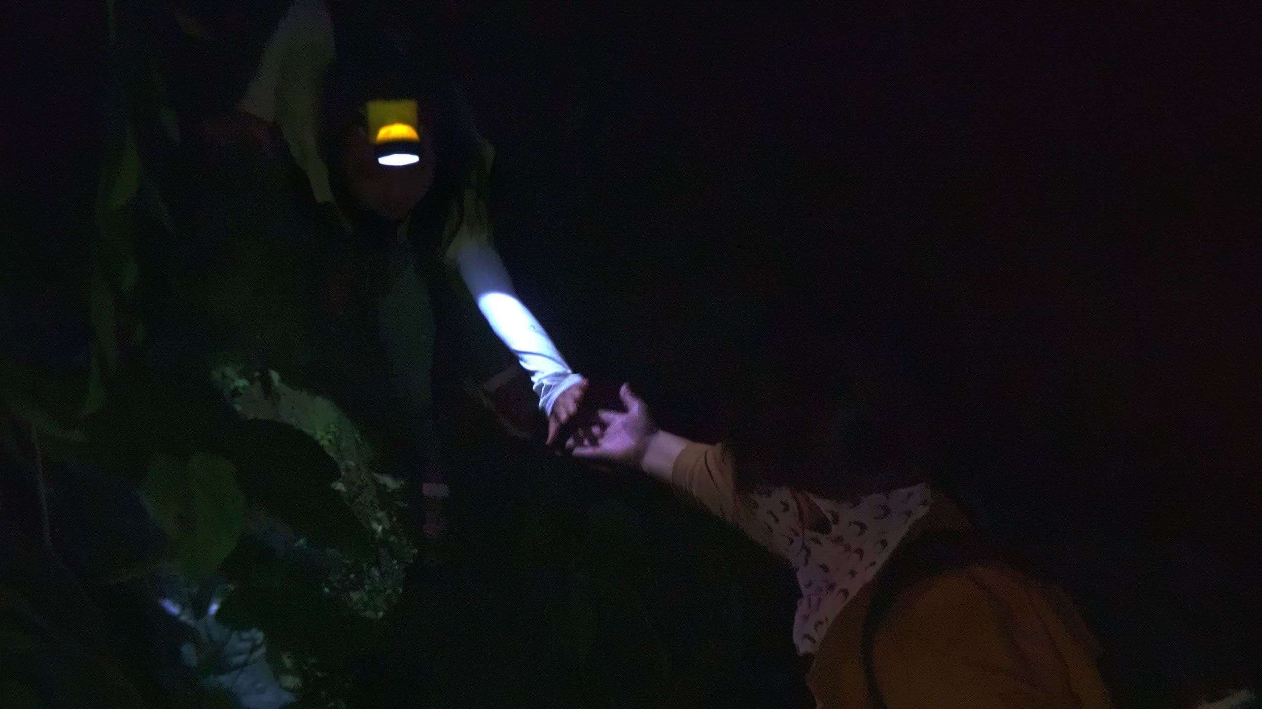 Beyond Utopia Background