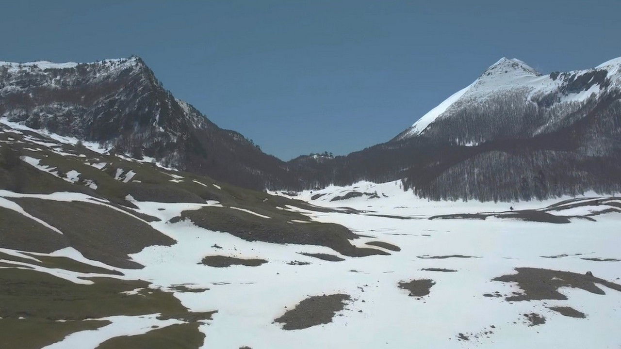 Linea 7000 Background