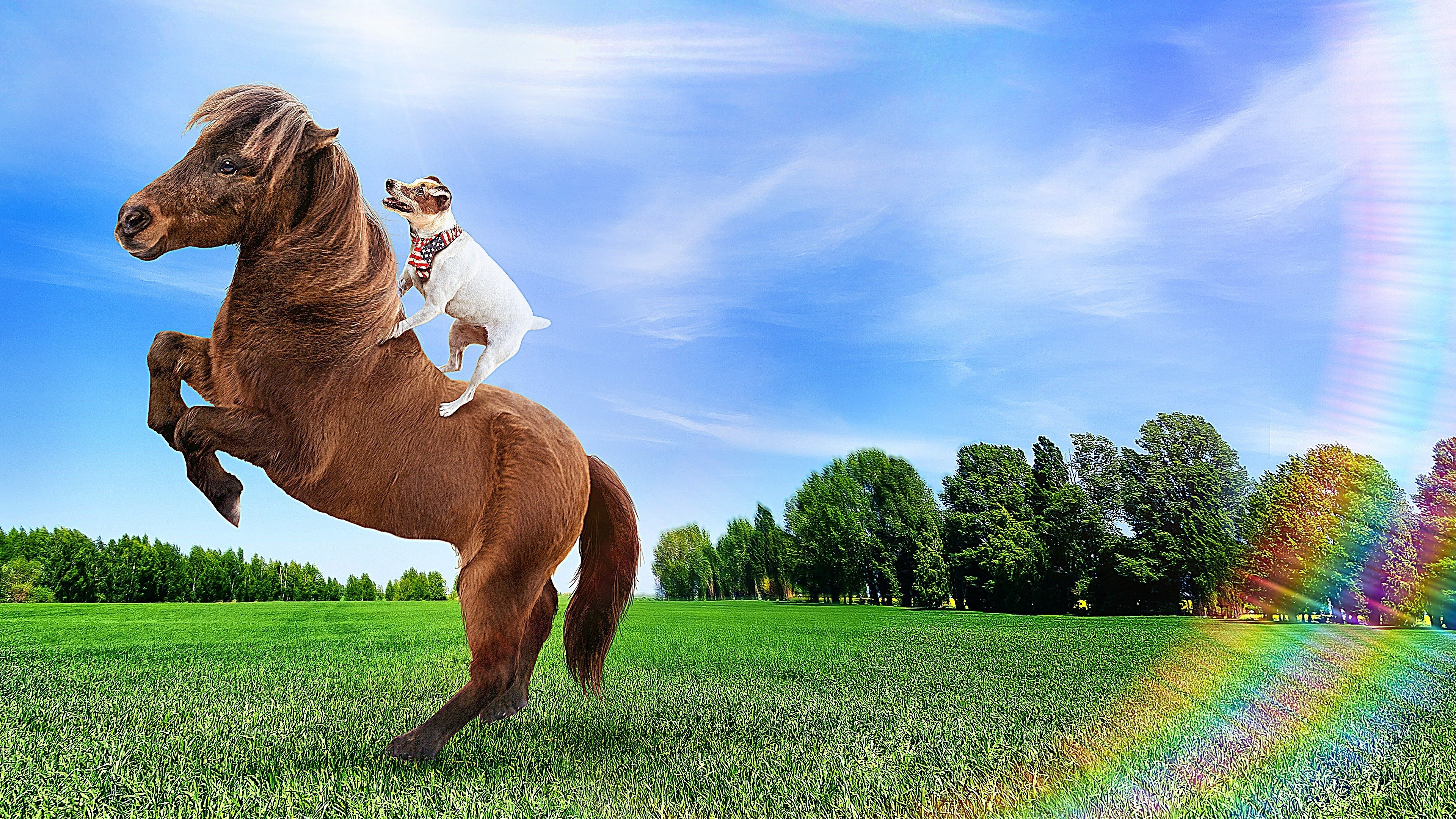 Adventures of Dally and Spanky Background