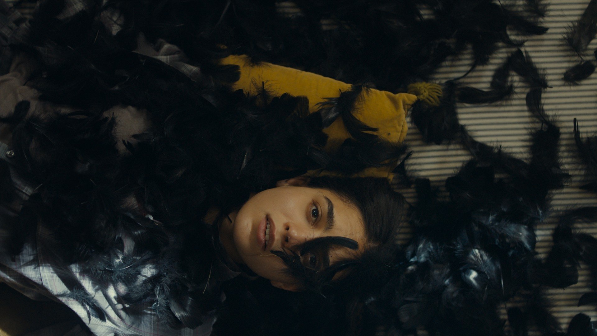 All the World Is Sleeping Background