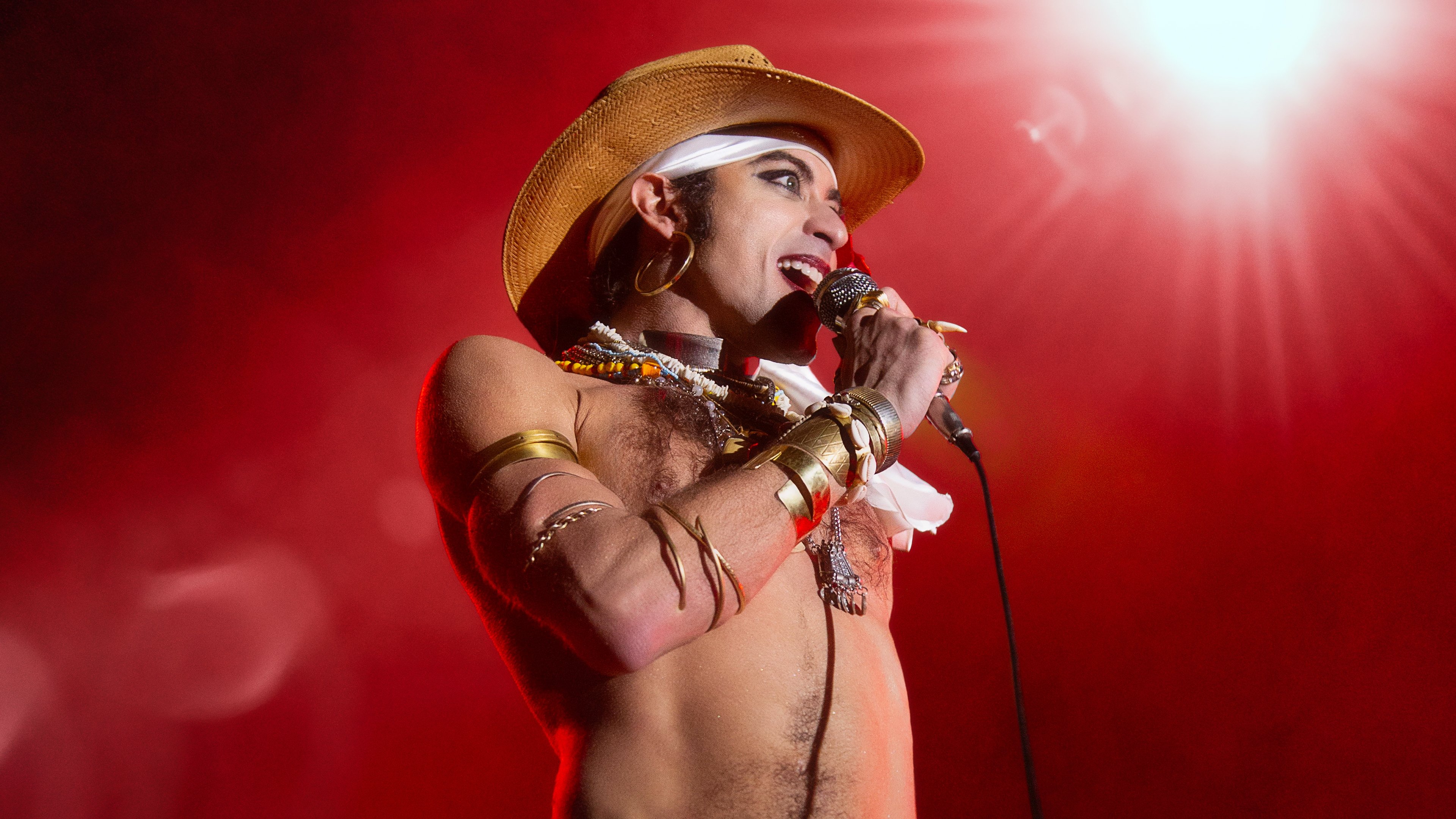 Latin Blood – The Ballad of Ney Matogrosso Background