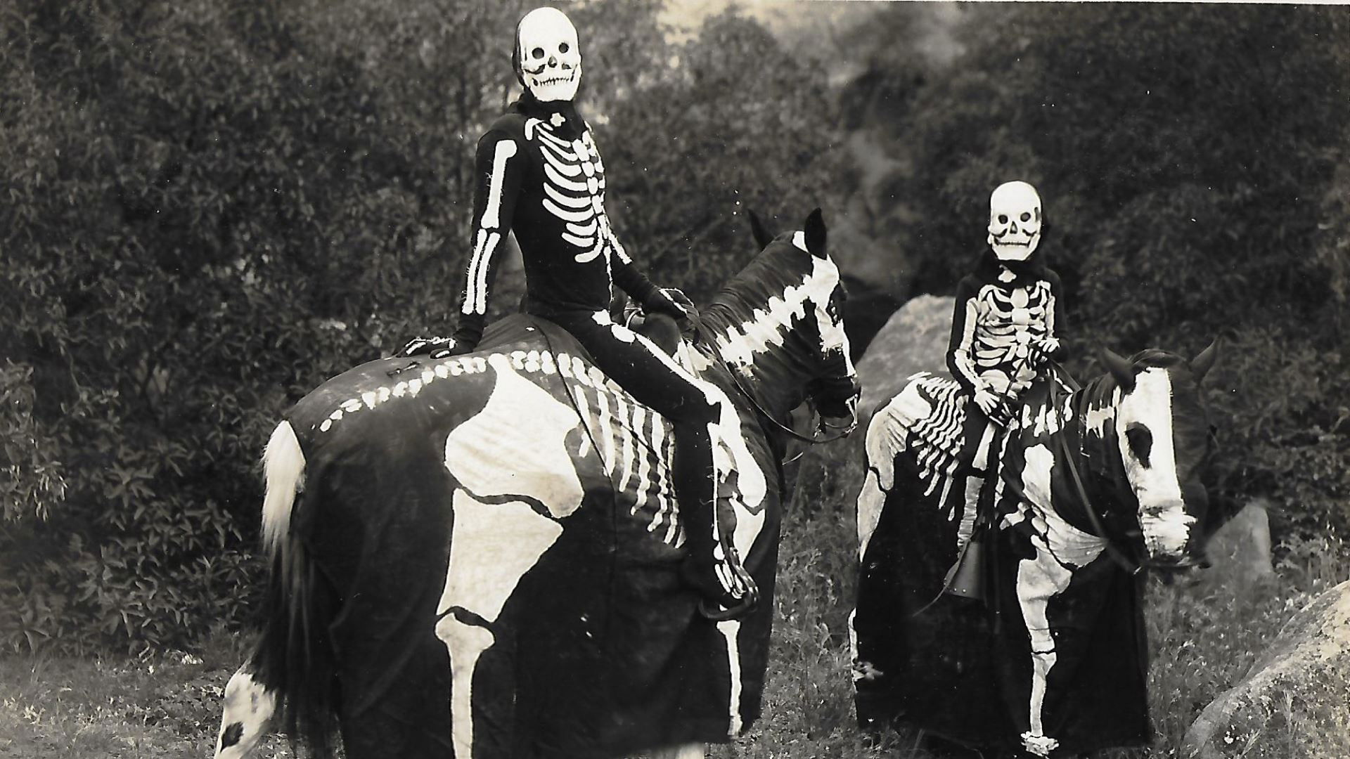 The Vanishing Riders Background