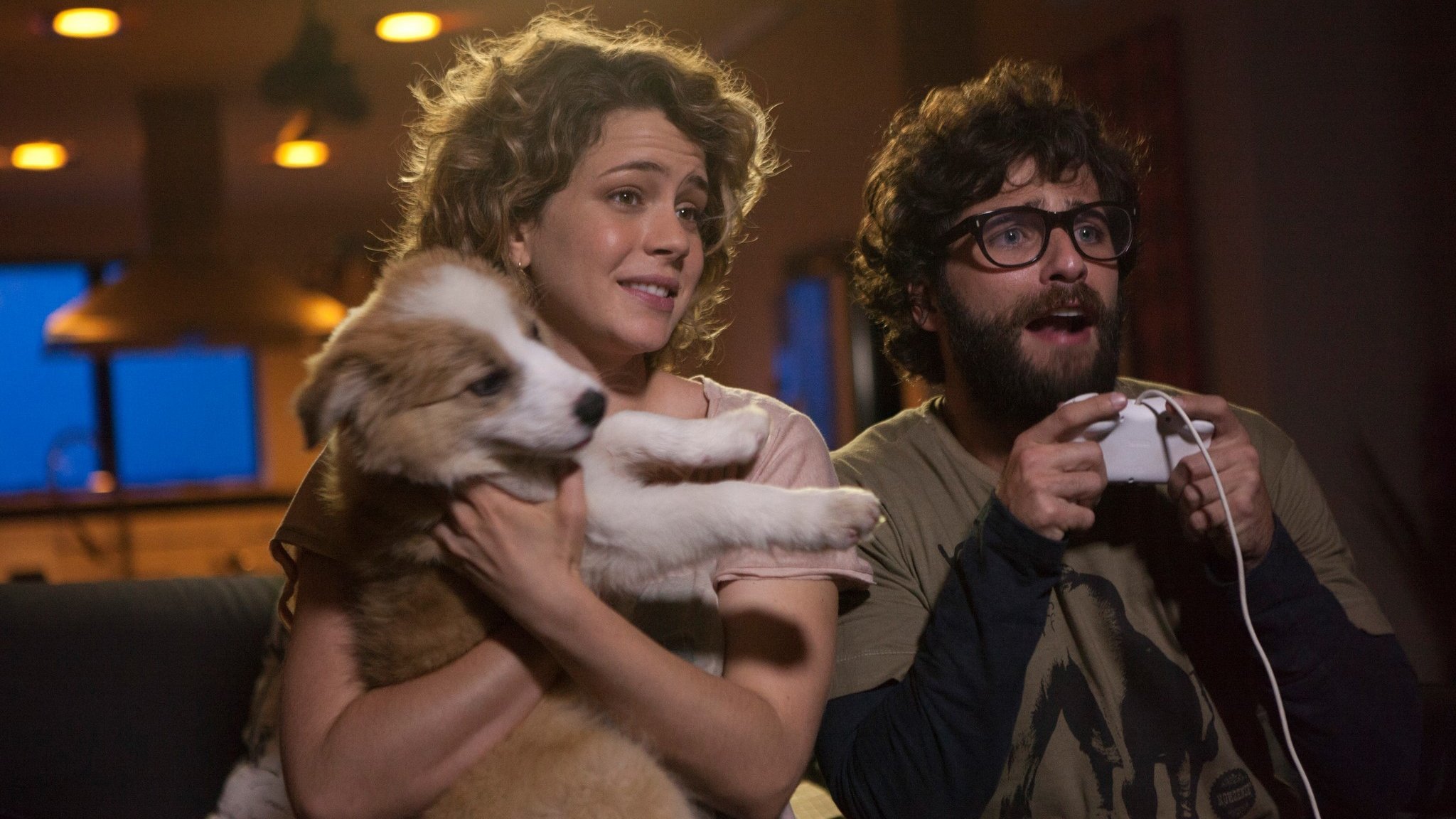 Mato Sem Cachorro Background