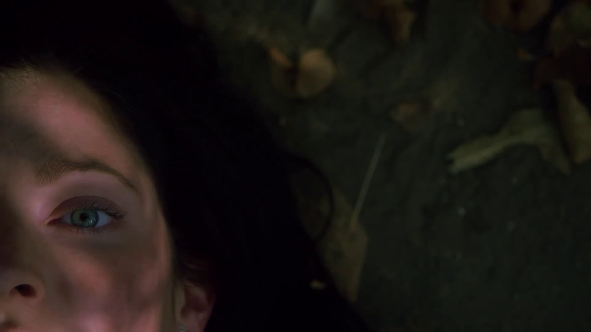 Twinsanity Background