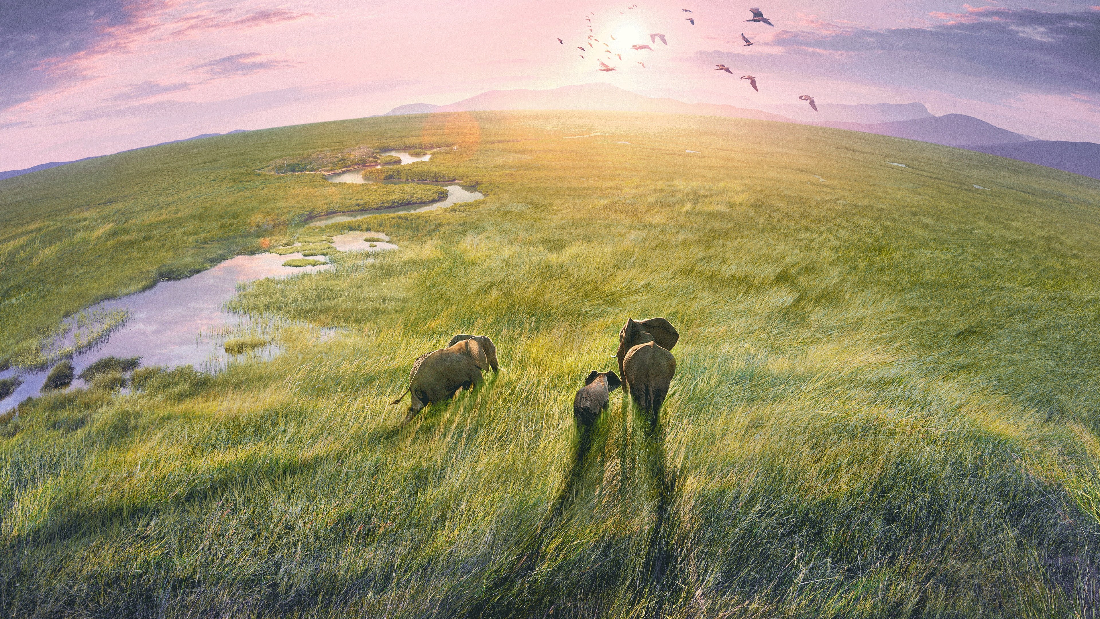 Planet Earth III Background