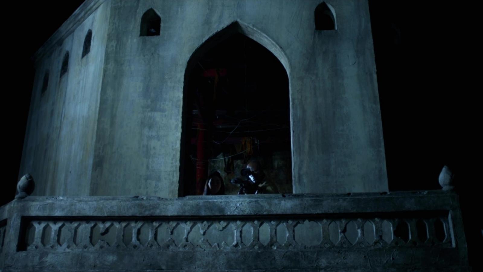 Elephant White Background