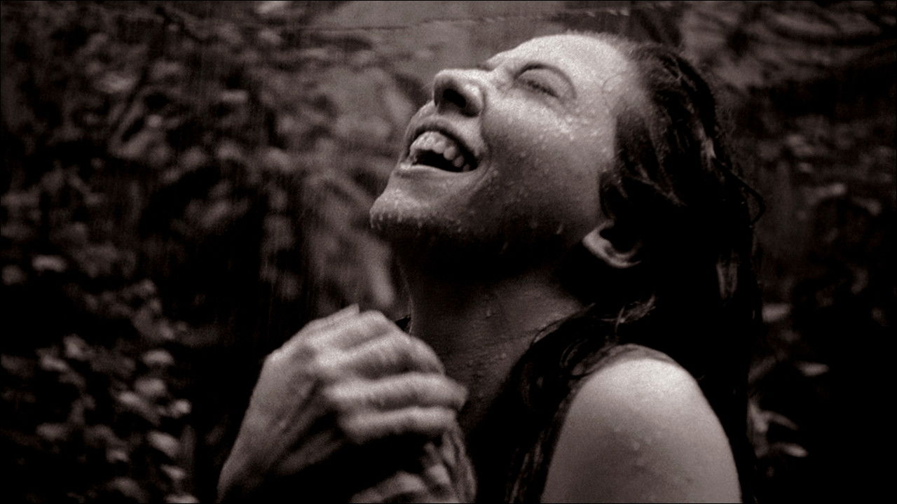 Cinema Novo Background