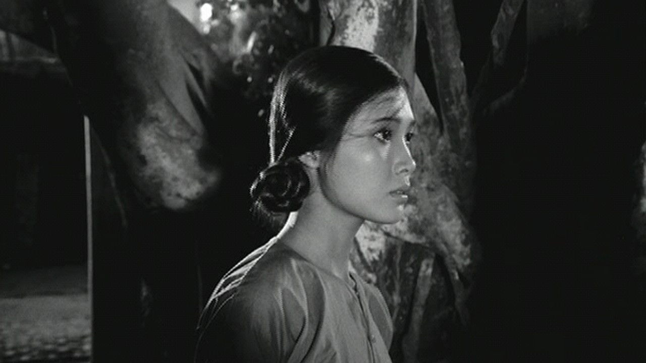 When the Tenth Month Comes Background