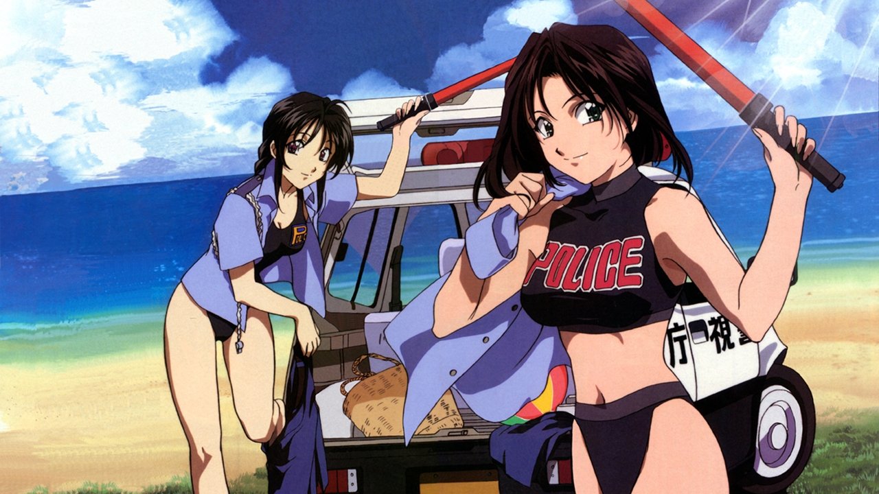 You're Under Arrest! Background