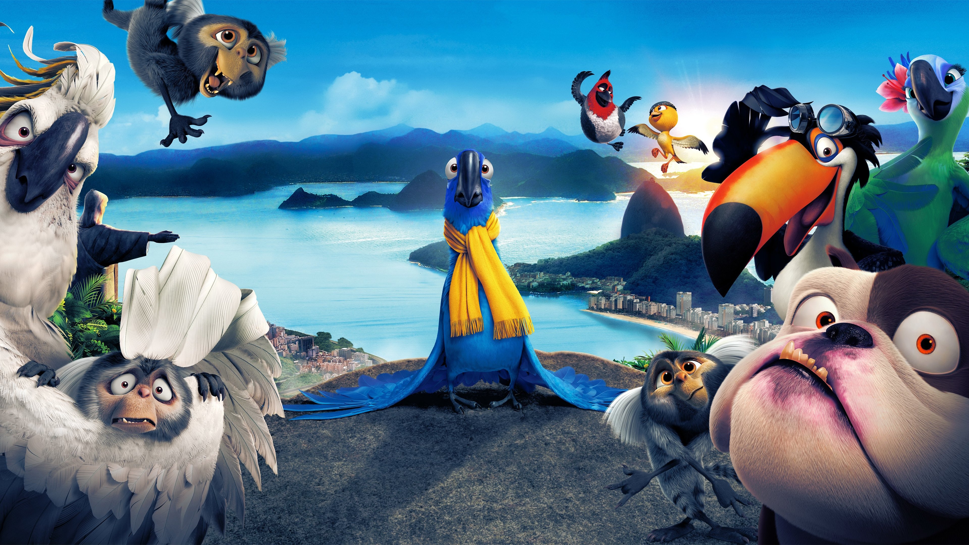 Rio Background