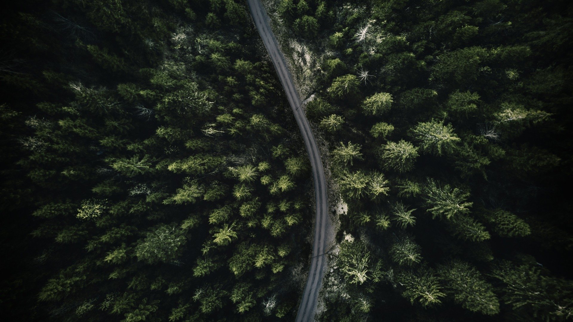 The Wonderland Murders Background