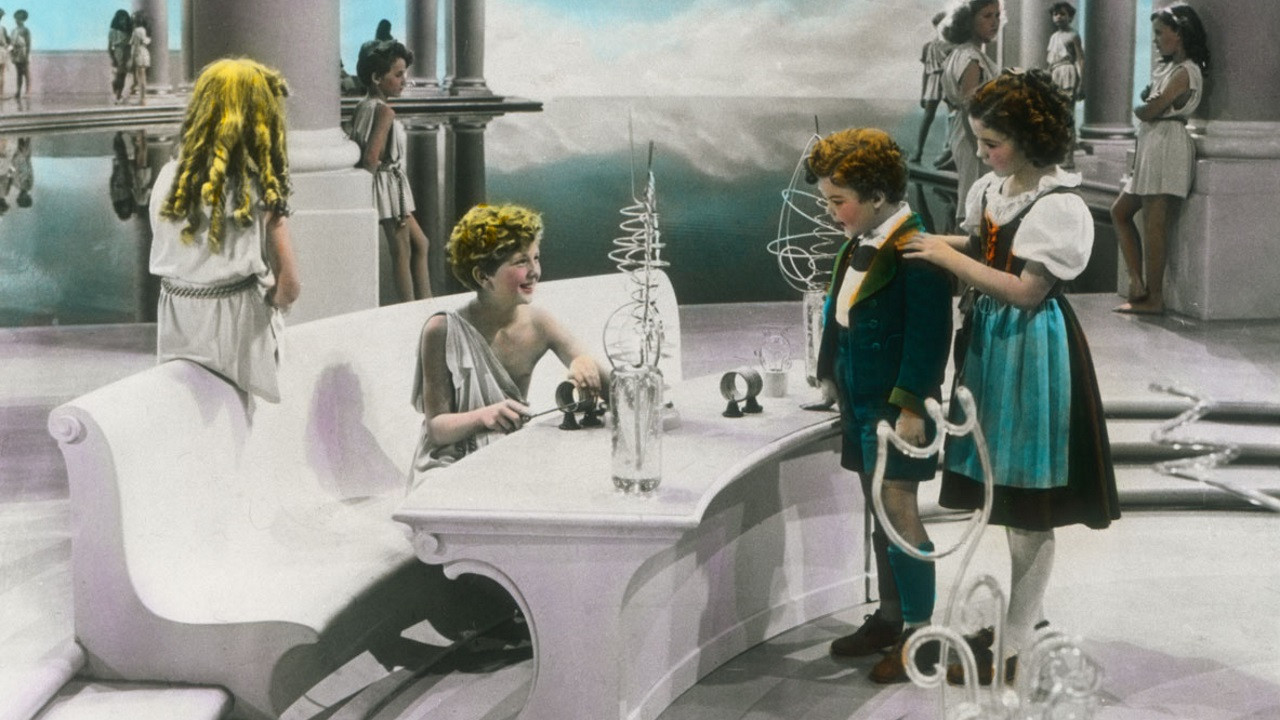 The Blue Bird Background