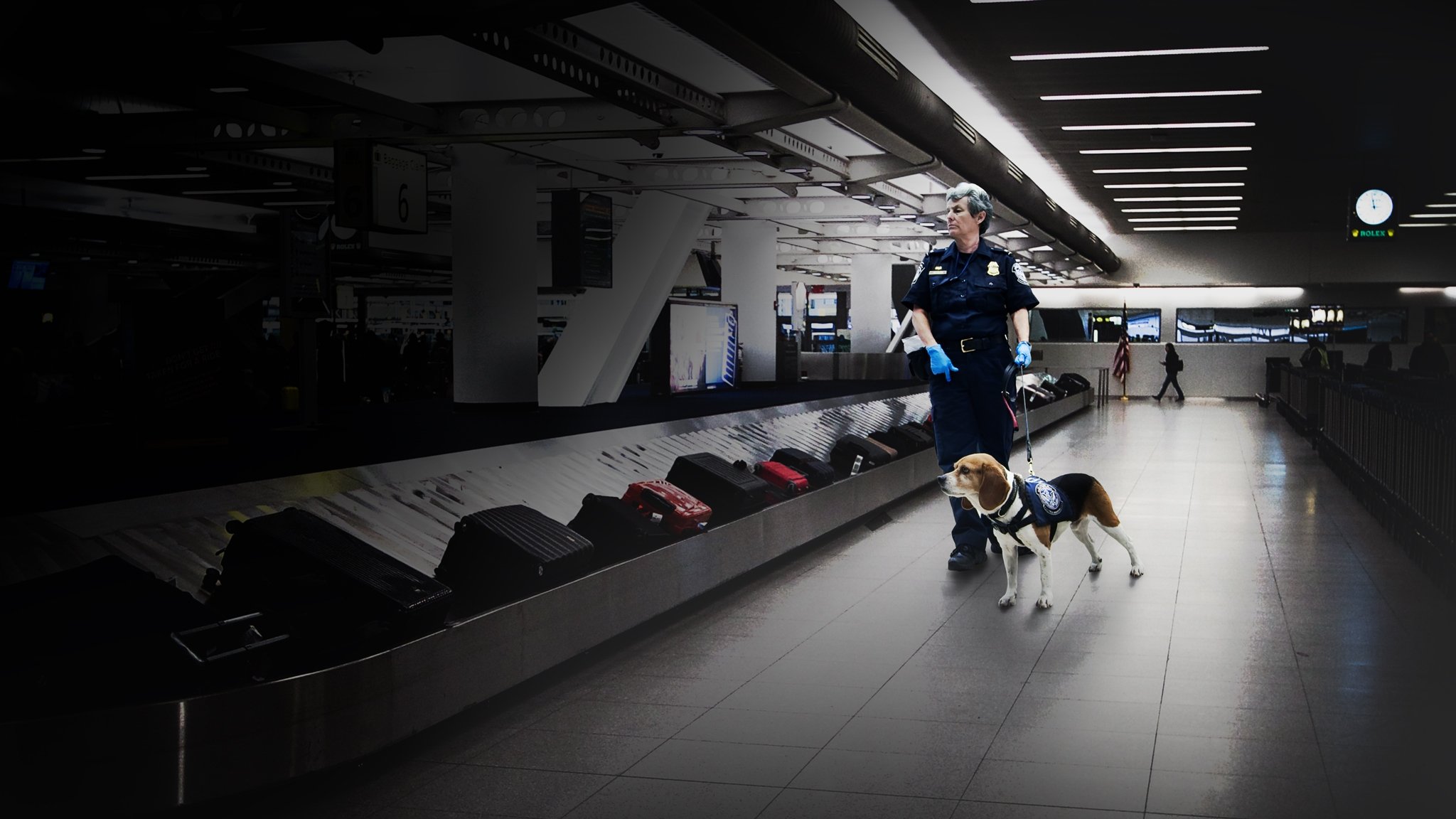 To Catch a Smuggler Background