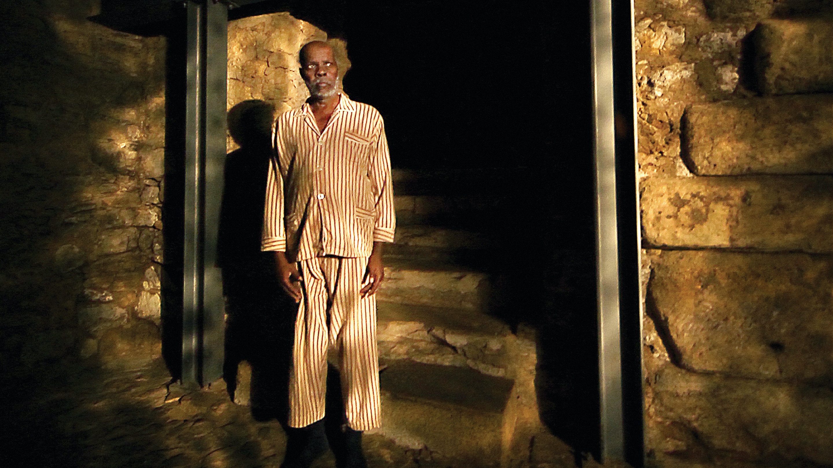 Horse Money Background