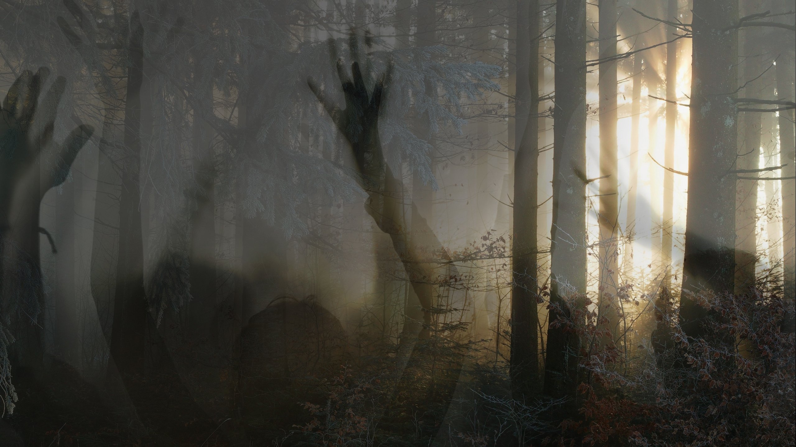 Paranormal Survivor Background