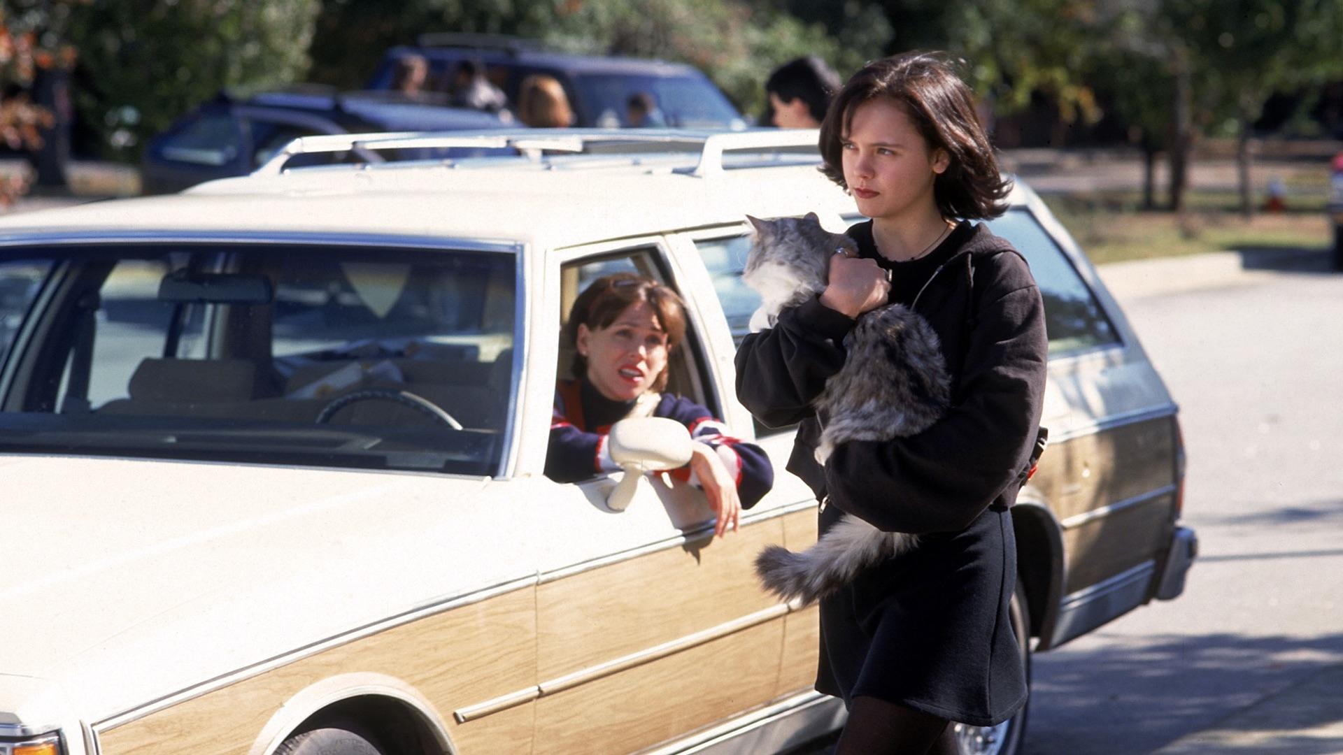 That Darn Cat Background