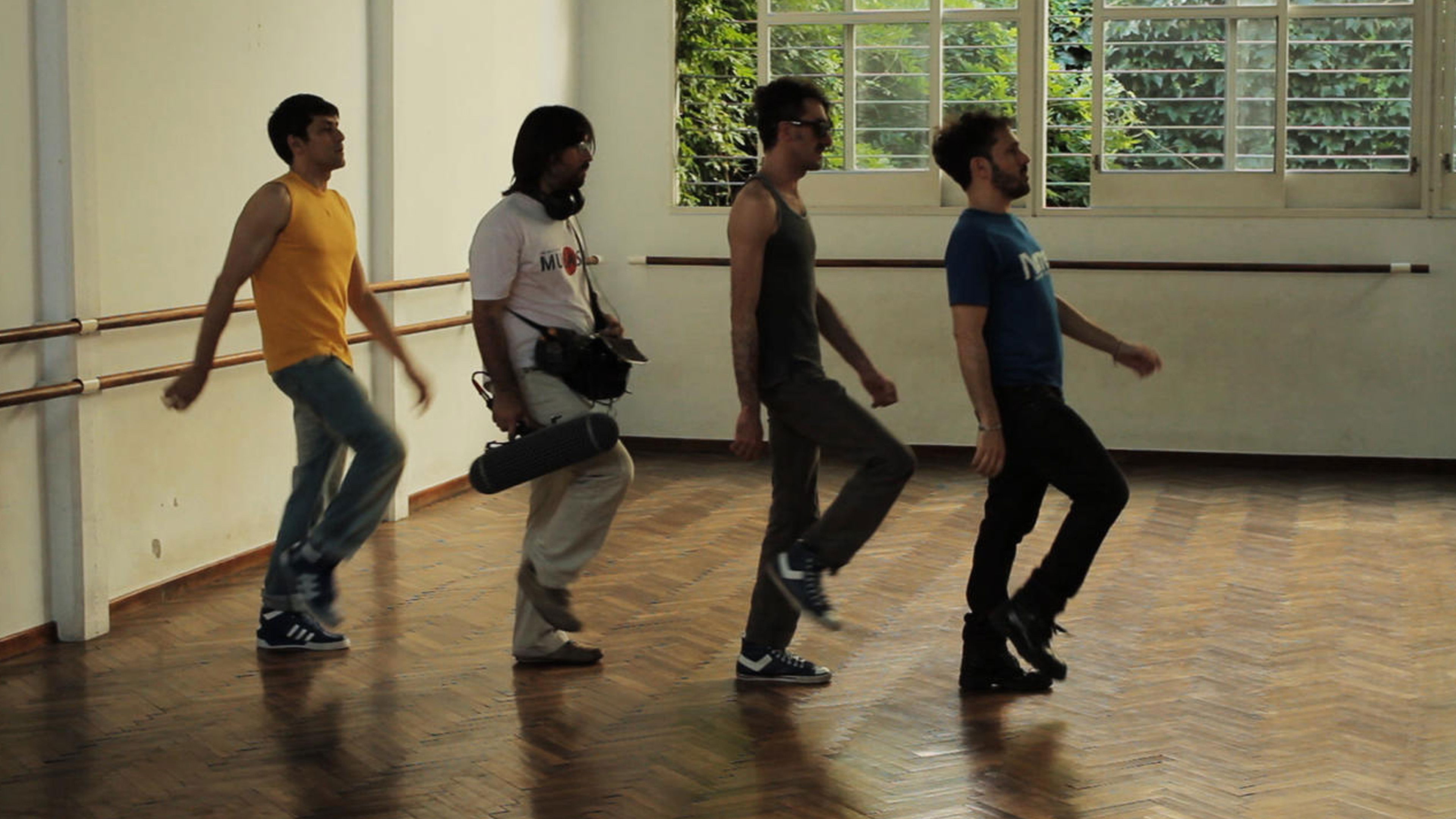 El loro y el cisne Background