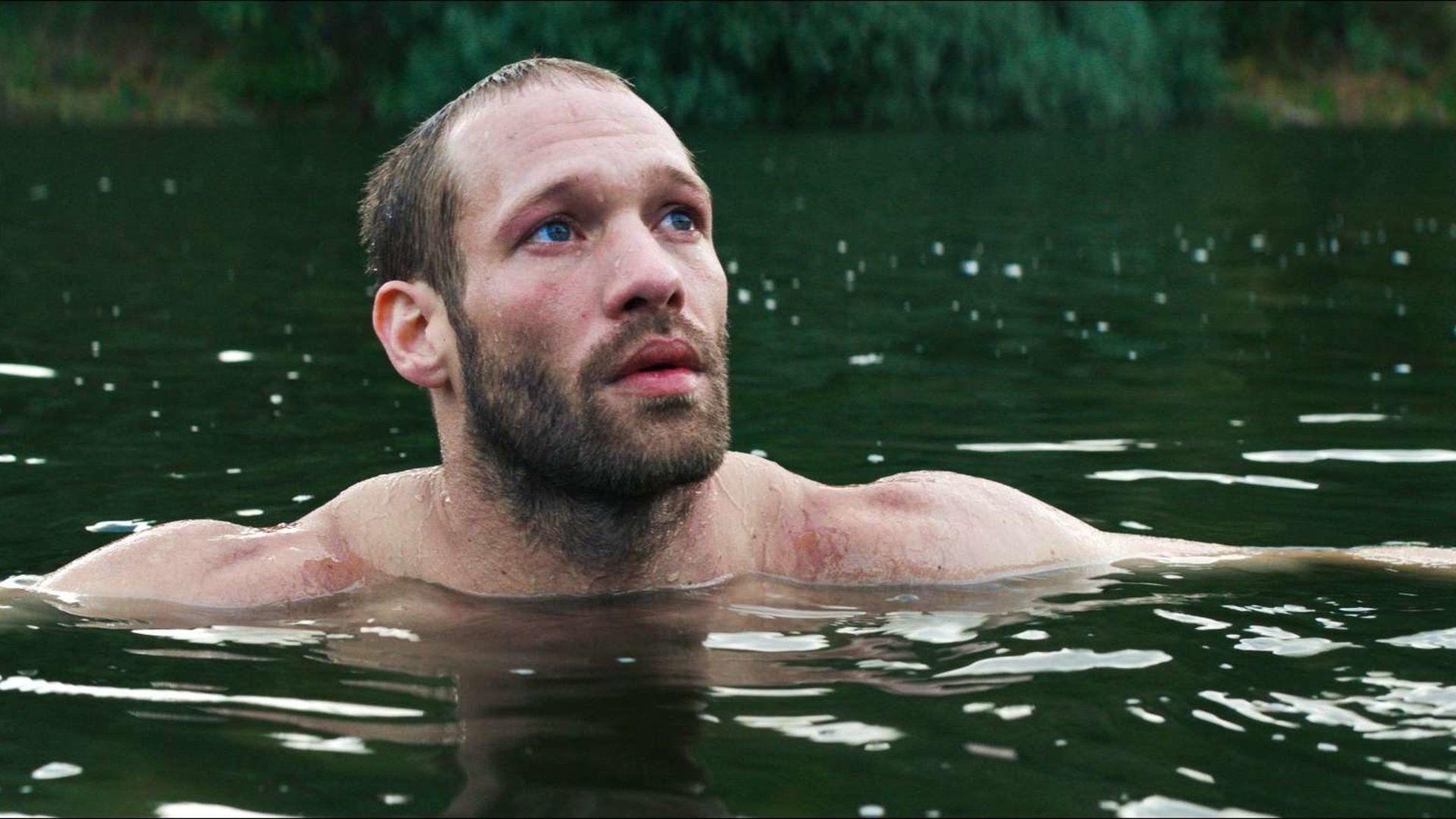 The Ornithologist Background