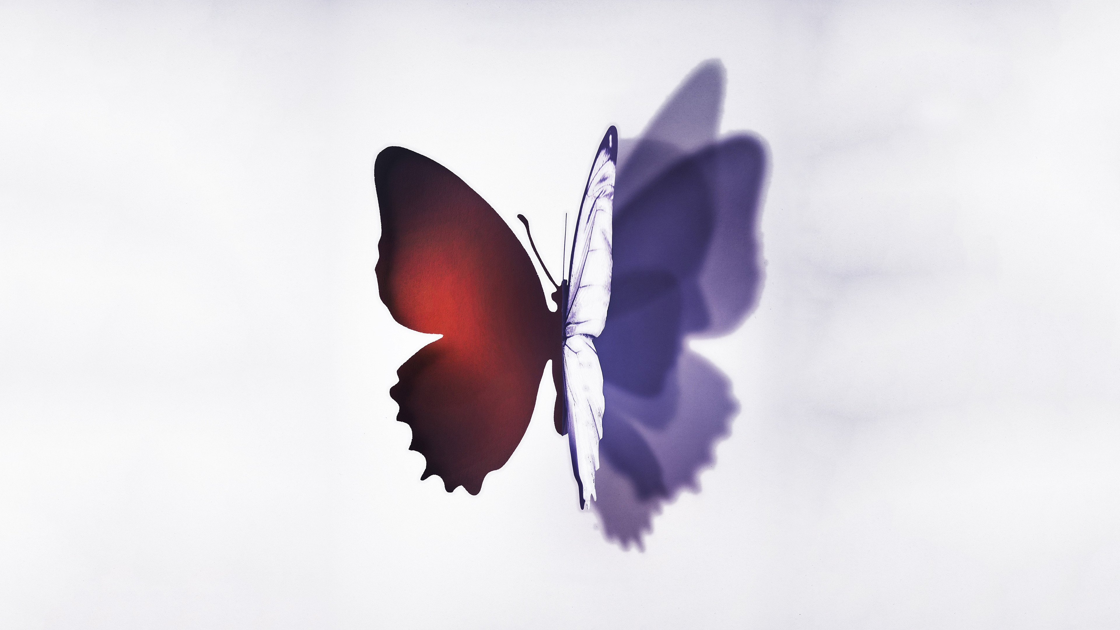 Complete Unknown Background