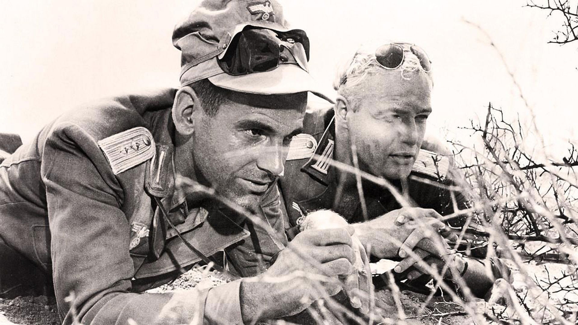 The Young Lions Background