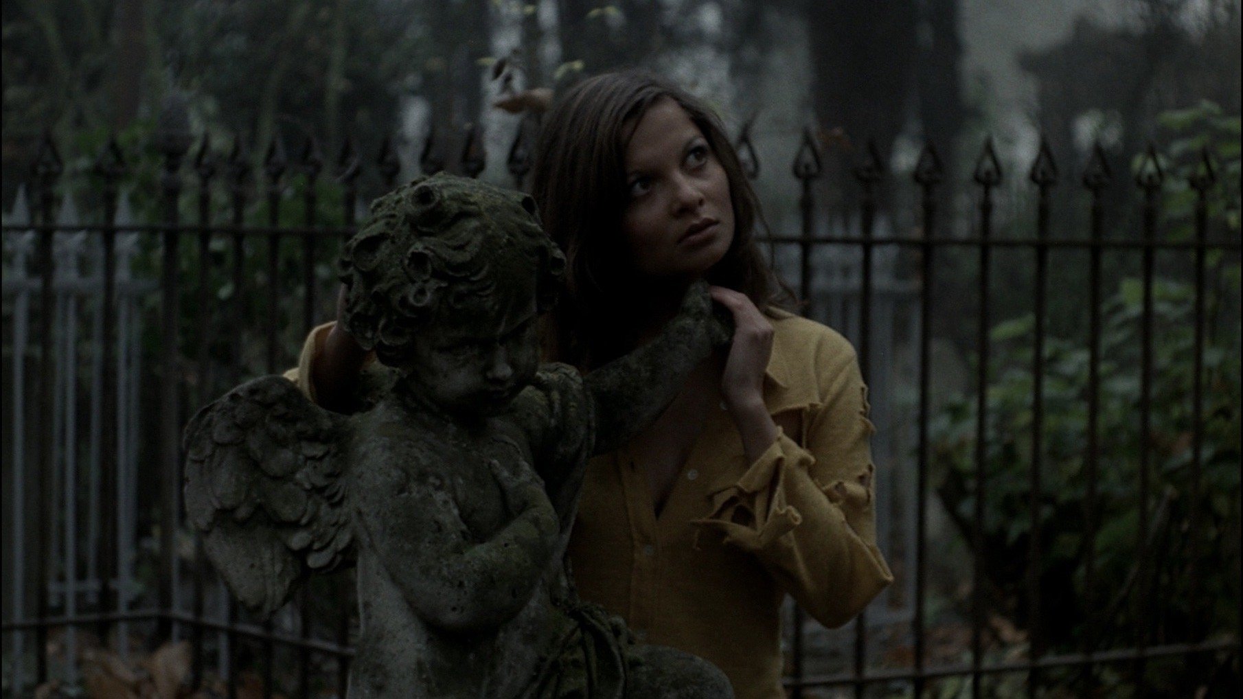 The Iron Rose Background