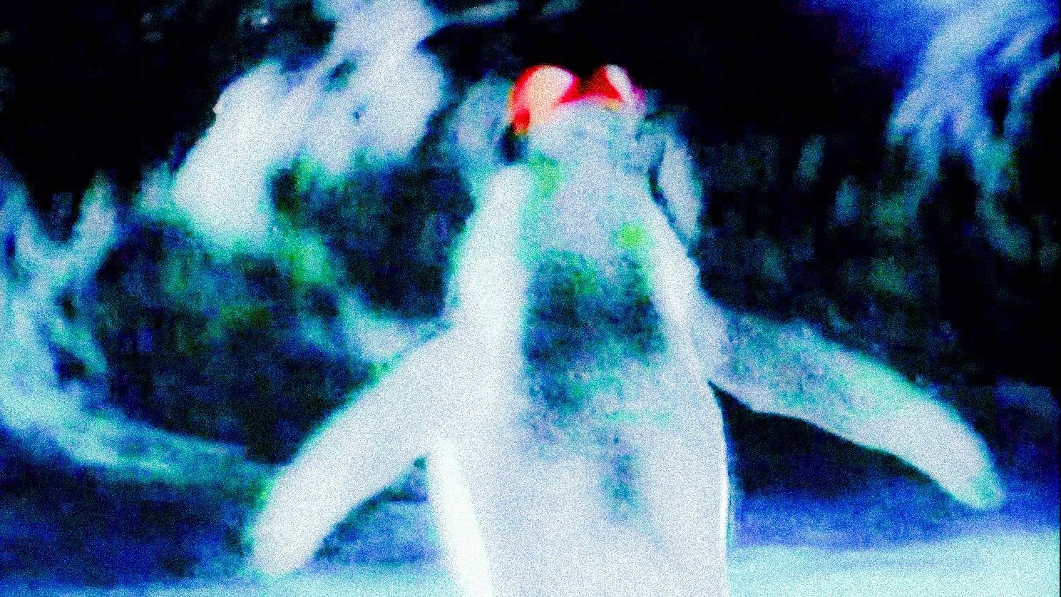 Notre Musique Background