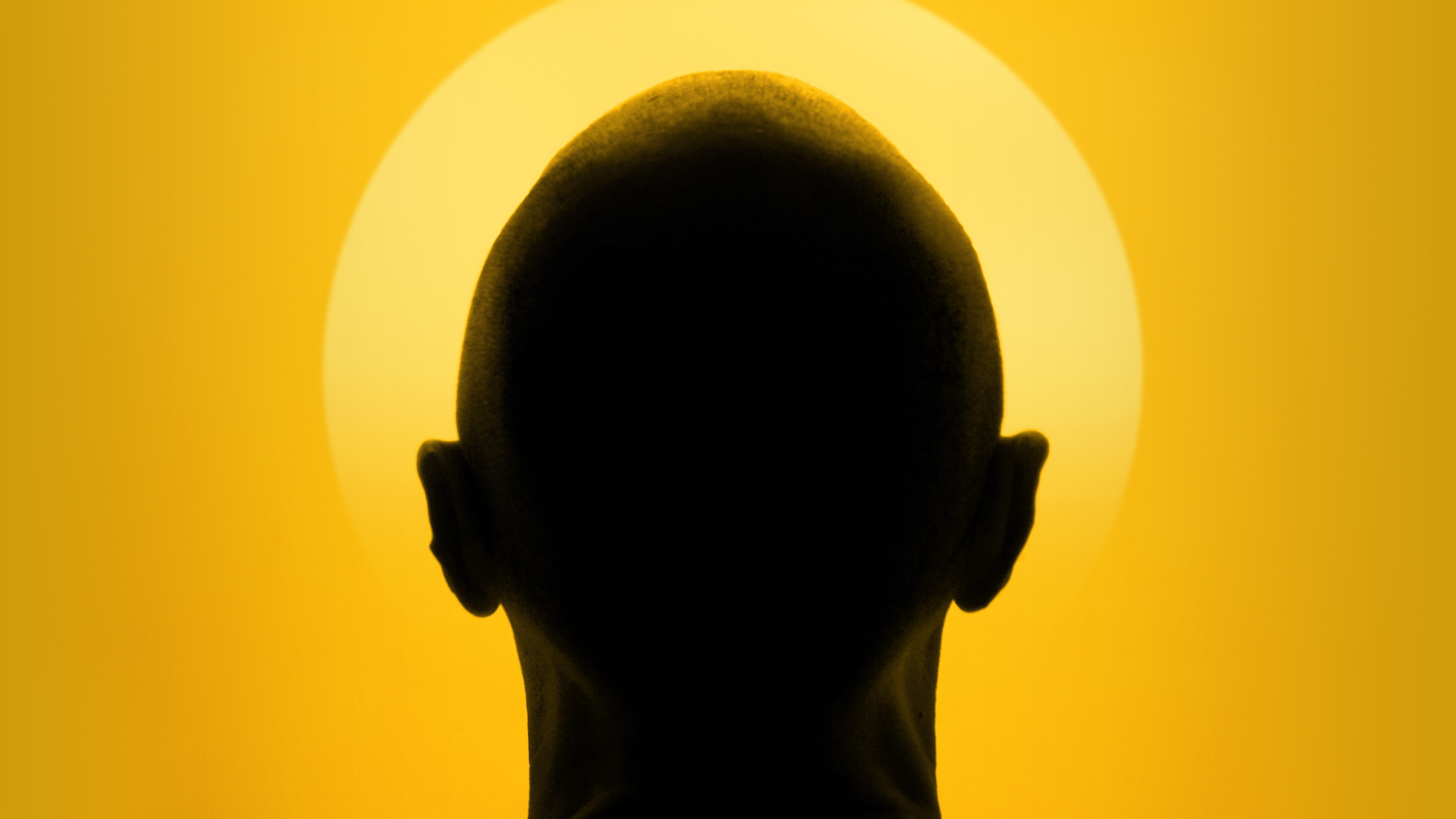 The Moaning of Life Background