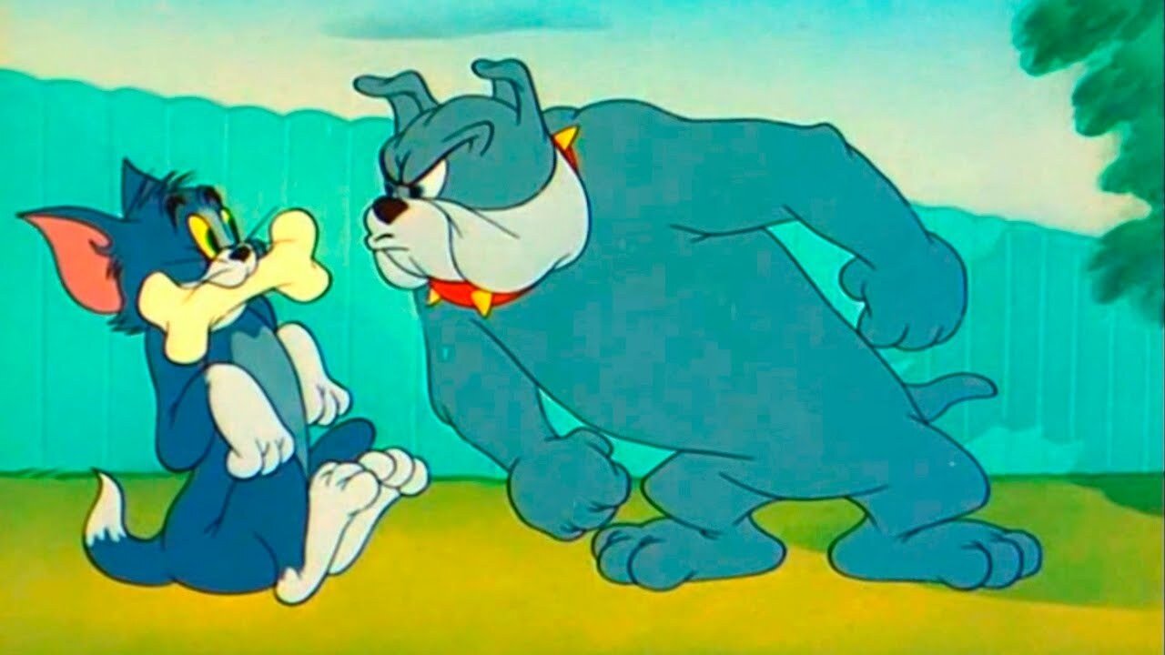 The Framed Cat Background