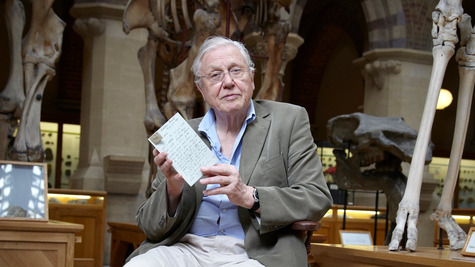 David Attenborough's Natural Curiosities Background