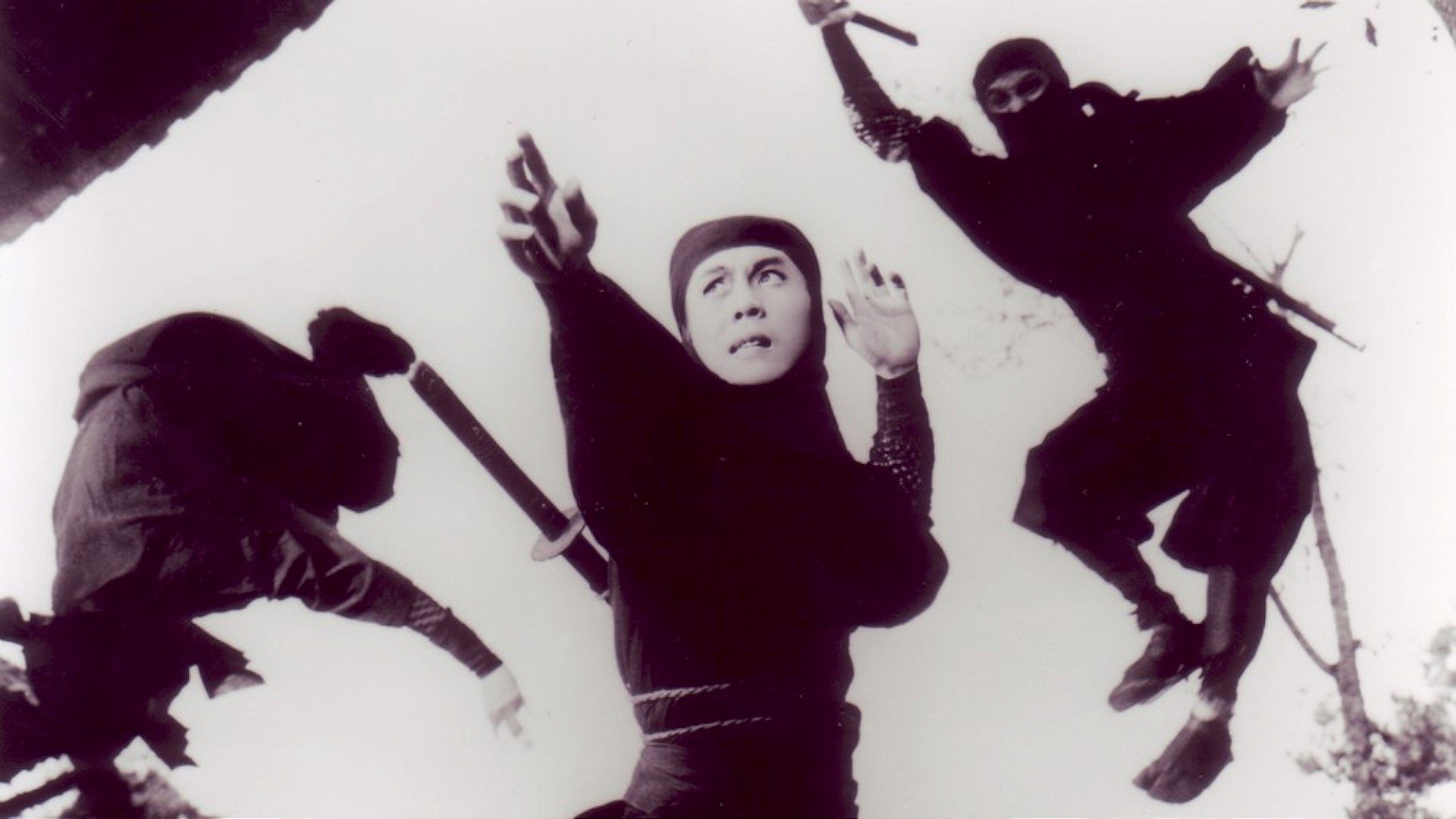 Shinobi No Mono 5: Return of Mist Saizo Background