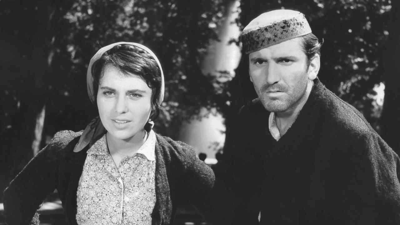 Train without a Timetable Background