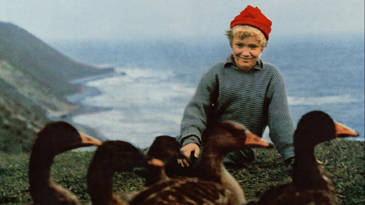 Wonderful Adventures of Nils Background