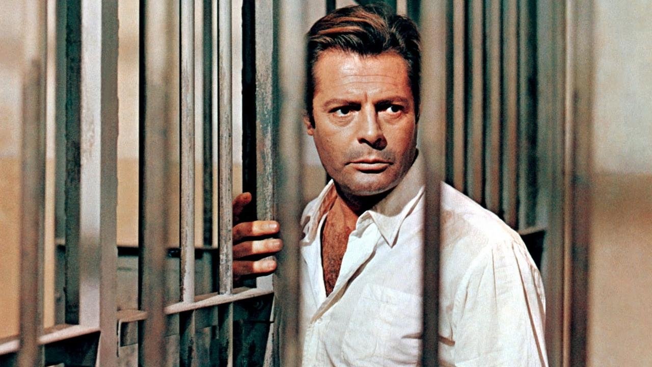 The Stranger Background