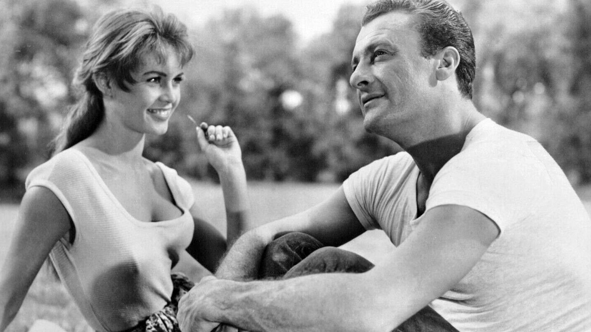 The Light Across the Street Background