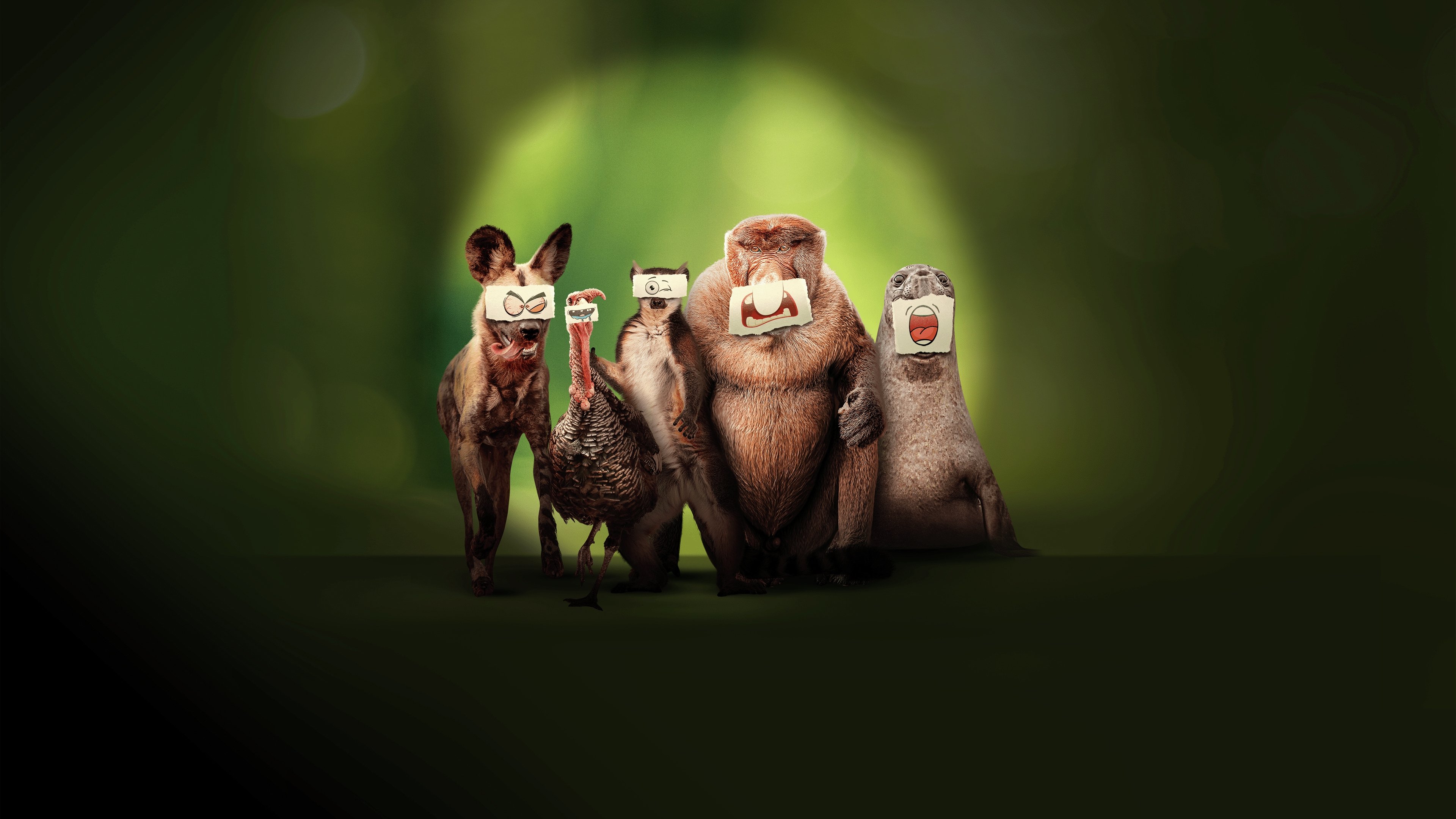 Underdogs Background