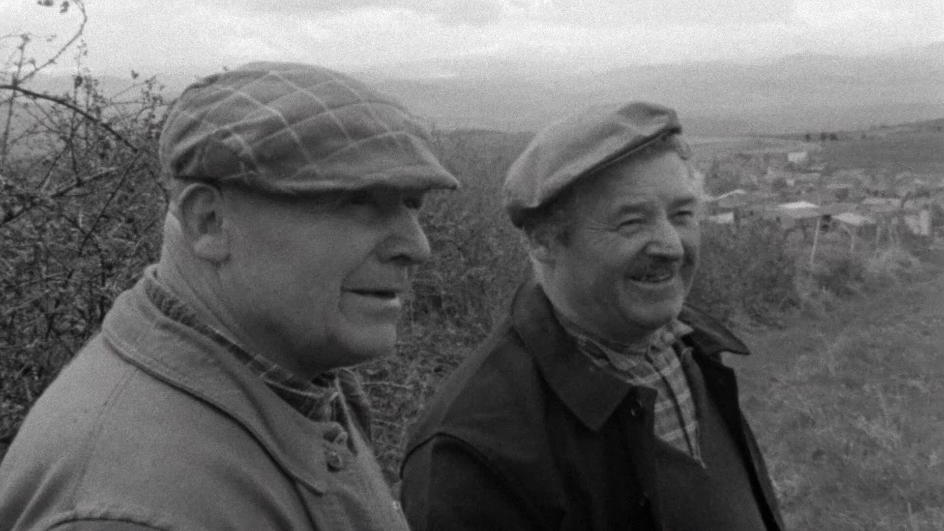 The Sorrow and the Pity Background