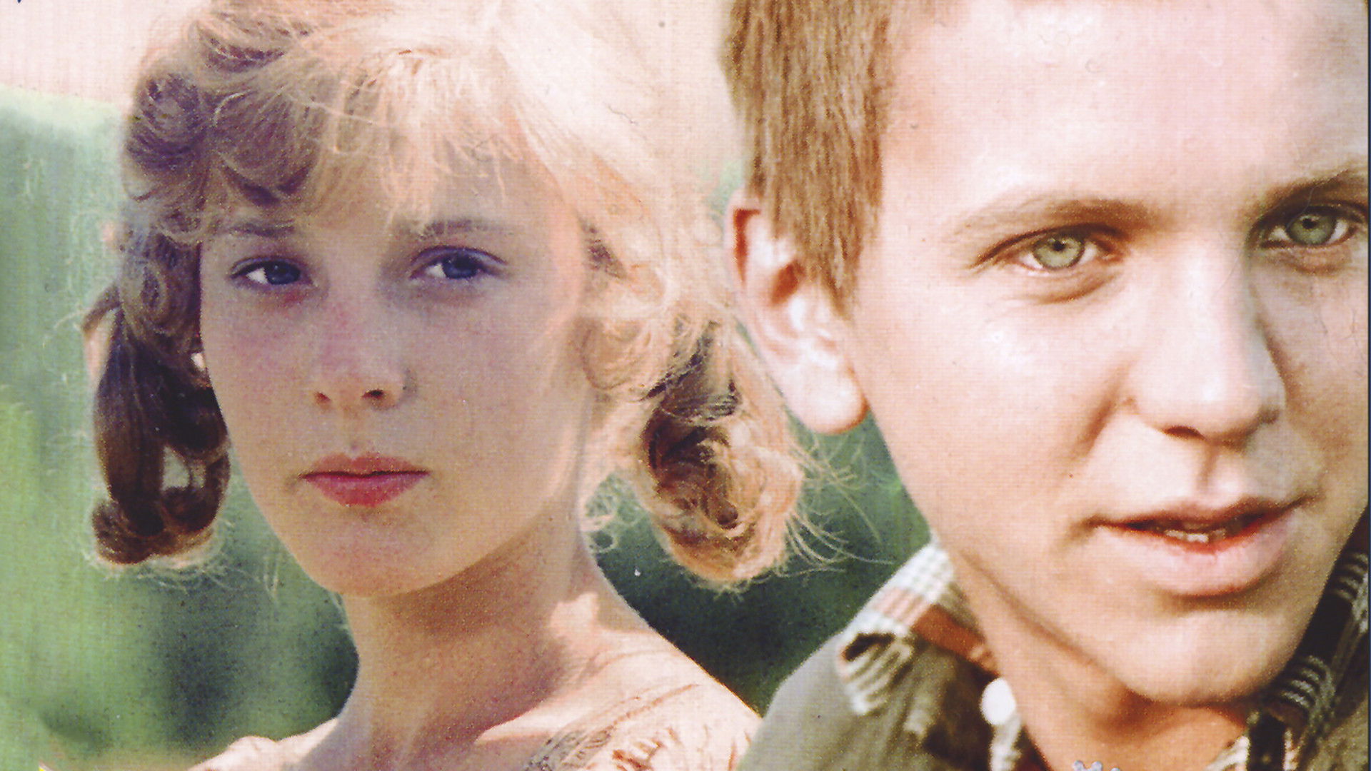 A Dog Was Walking on the Piano Background